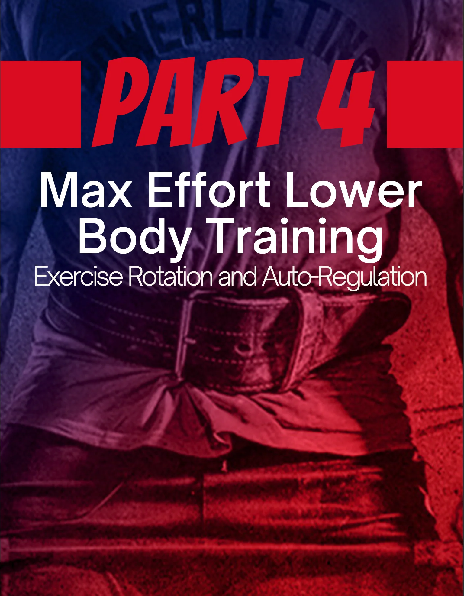 The Quest For Strength ebook - Image 5