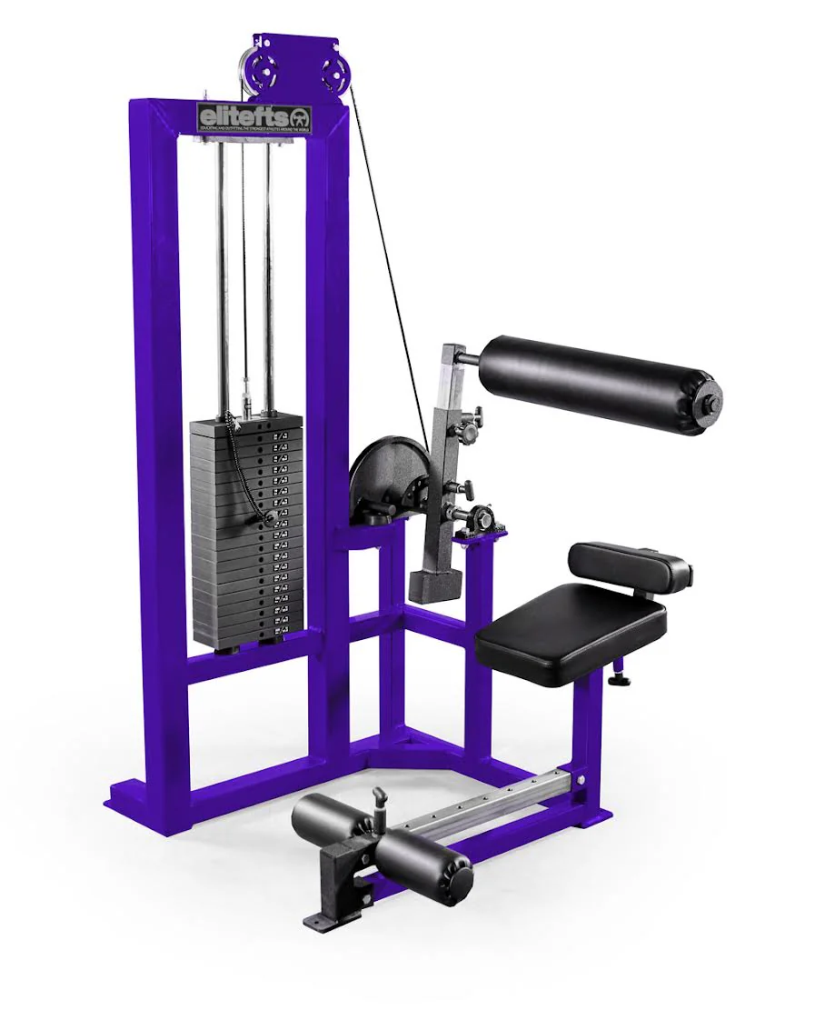 elitefts  Low Back Machine - Selectorized - Image 7