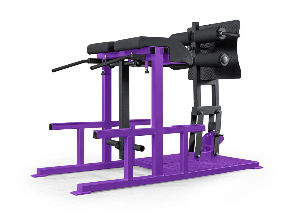elitefts Posterior Chain Developer - Image 10