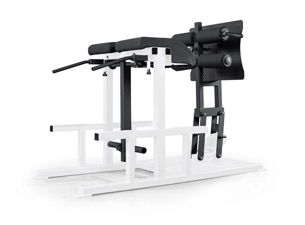 elitefts Posterior Chain Developer - Image 4
