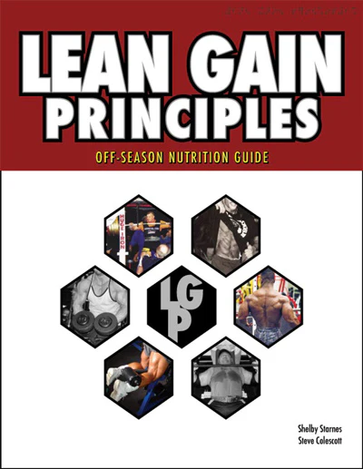 Lean Gain Principles (eBook)