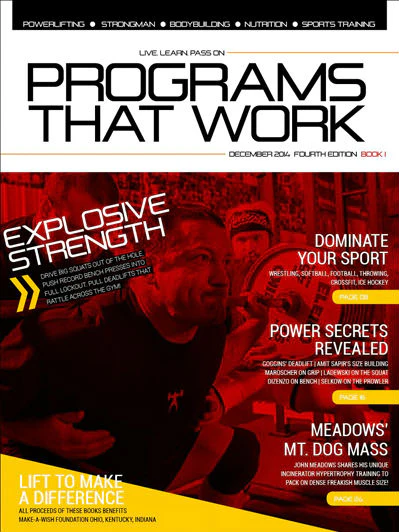 Programs That Work 4.1 (eBook)